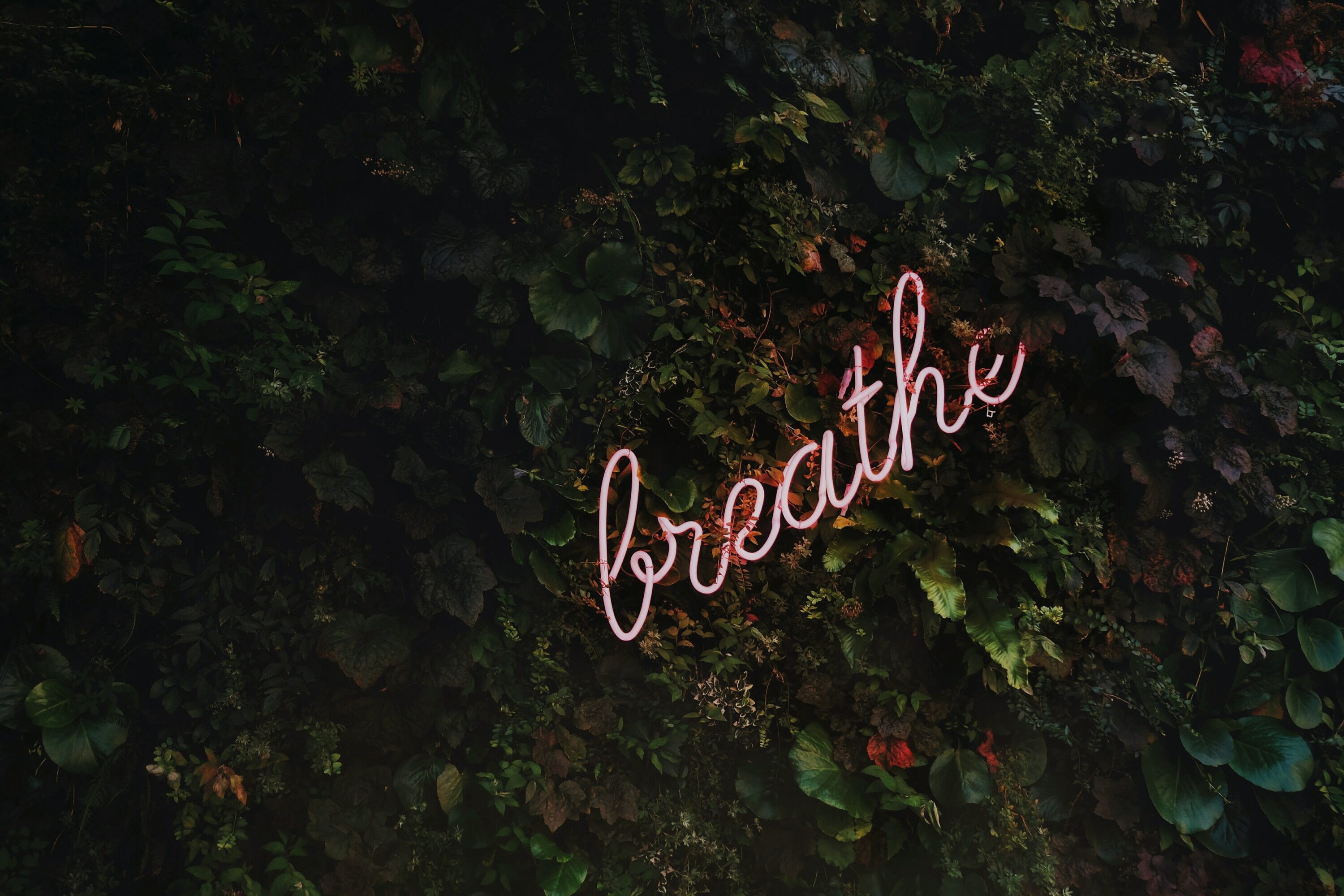 Breathe written on neon sign. Find support from online therapy today. We can help you find self-care ideas for women or self-care ideas for students and men. Call now and get support with self-care tips in Detroit, MI!