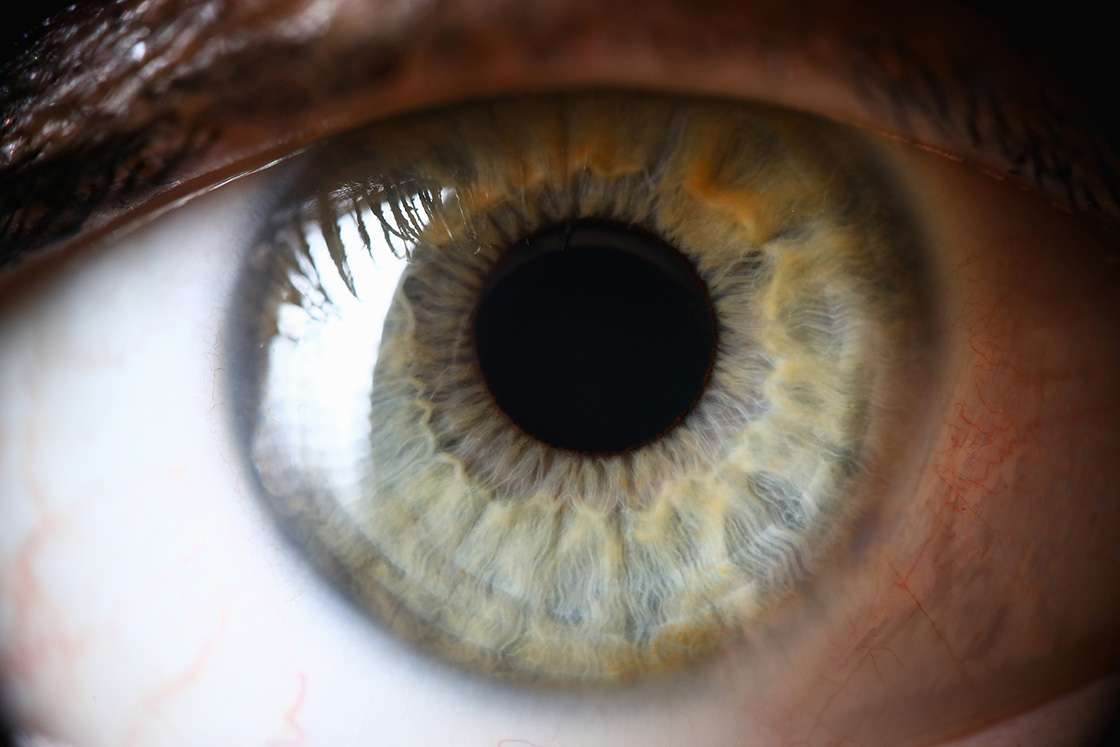 Close up picture of green eye. EMDR therapy in Detroit, MI can help you overcome traumas, anxiety, depression, grief, and more. Talk with an EMDR therapy at our online therapy practice or at our in-person office to see if this is a good fit for you. Call now and find EMDR therapy near you!